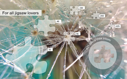 Raindrop Jigsaw Puzzles Demo poster 10