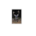 Hunters Wind Direction App