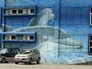 海洋世界巨大海豚