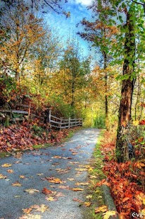 Free Autumn Images APK