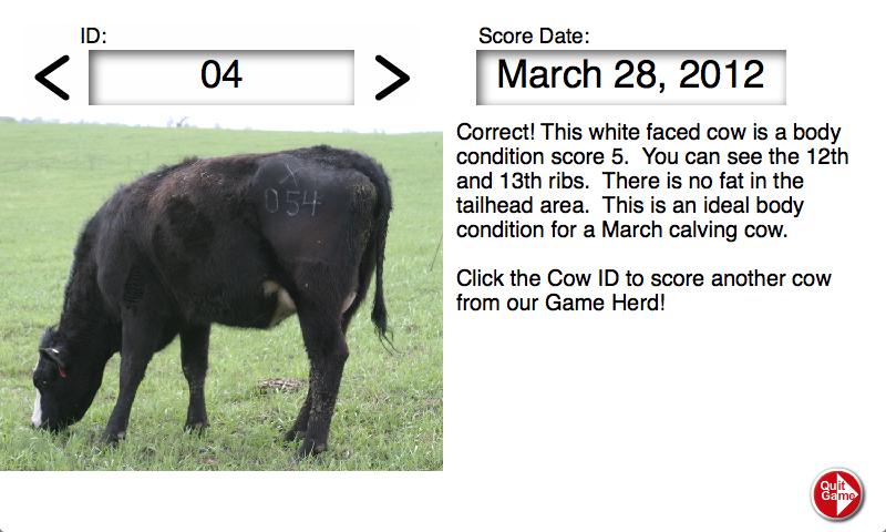 Body Condition Score Beef Cows Screen 3