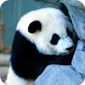 Animal Wallpapers icon