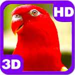 Wonderful Red Parrot Chatter Apk