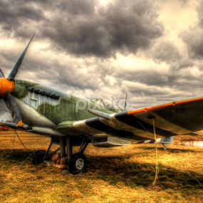 The Spitfire by Ken Chambers - Transportation Airplanes