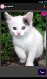 Sweet Pet Puzzle Screenshots 4