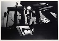 Tuinbouw in de open grond in de Flevopolder