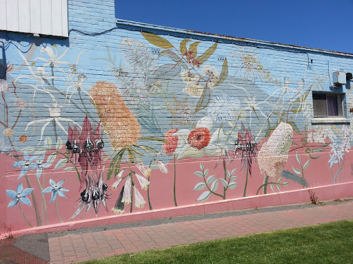 Australian Flowers Mural