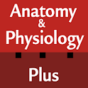 Anatomy & Physiology Cards logo