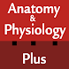 Anatomy & Physiology Cards