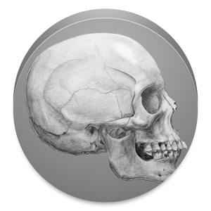 Skulls Crash Time Killer.apk 1.0.2