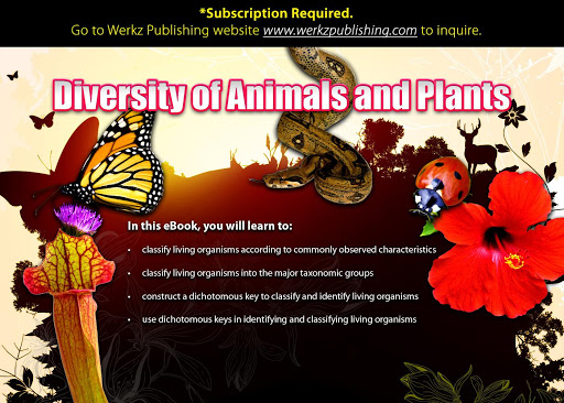 Diversity of Animals Plants