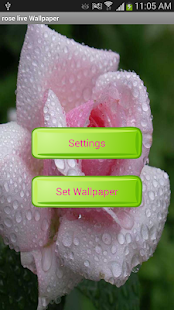 How to mod Rose Live Wallpapers patch 1.0.3 apk for android