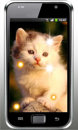 Plush Kitty HD Live Wallpaper