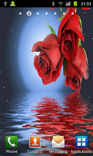 Rose In Water II