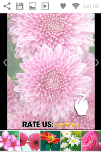 Download Flowers Wallpapers ✿ APK for PC