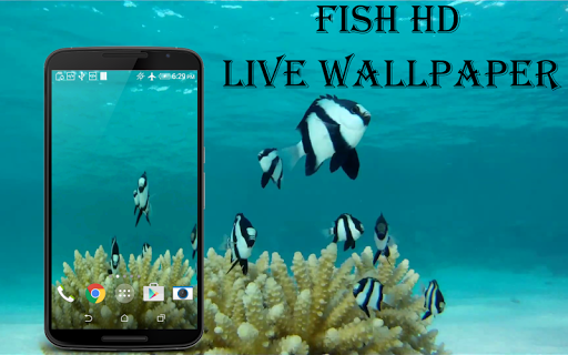 Fish HD Live Wallpaper