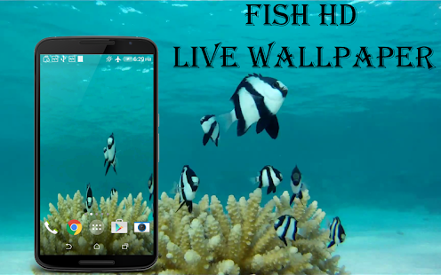 How to get Fish HD Live Wallpaper 3.0 apk for bluestacks