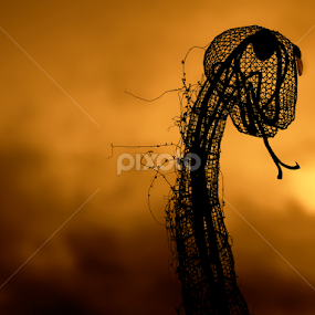 Nessie by Goran Lee - Buildings & Architecture Statues & Monuments