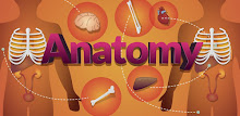 Arloon Anatomy APK