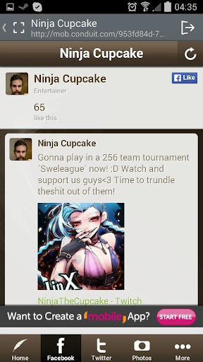 Ninja Cupcake