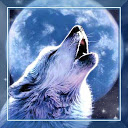Wolf Song HD live wallpaper mobile app icon