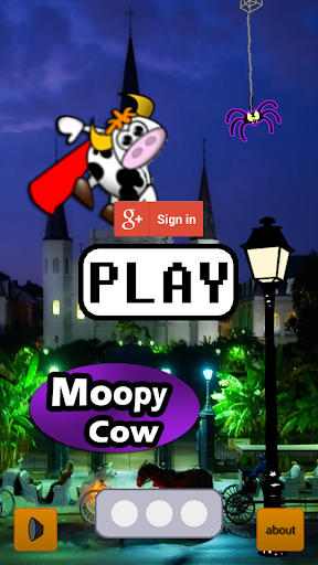 Moopy Cow