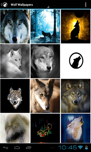 Free HD Wolf Wallpaper