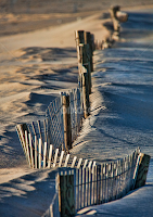 Fences make good neighbors by Deborah Felmey - Landscapes Beaches