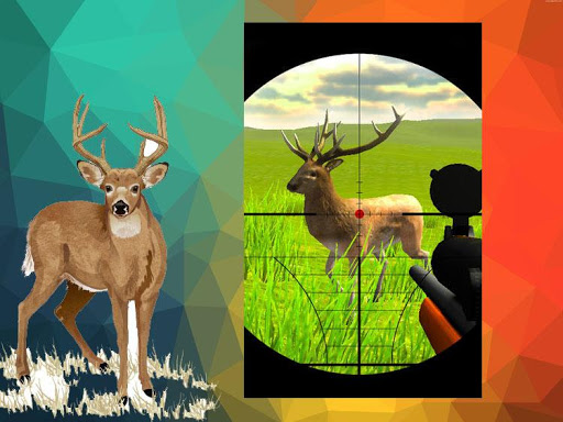 animal shooting games