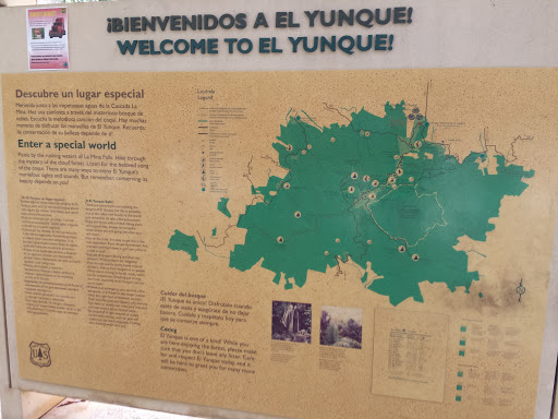 Yunque -  Welcome to El Yunque 