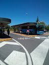 Bus Station Unical