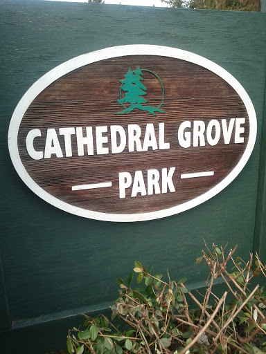 Cathedral Grove Park 