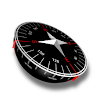 Marine Compass