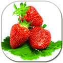 Strawberries Lwp logo