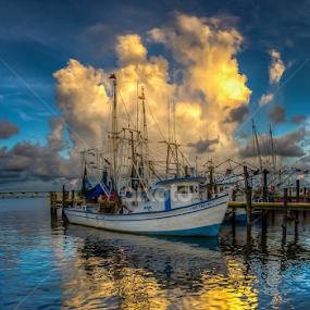 Shrimp Catcher by Victor Martin - Transportation Boats