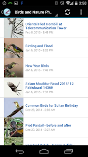 Download Bird Watching Blogs Free APK for Android
