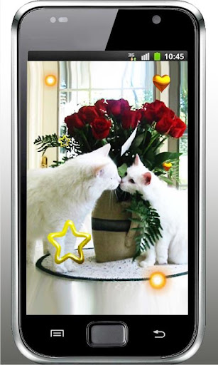 Lovely Kitties live wallpaper