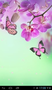 Download Flowers APK for Android