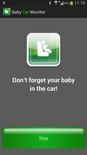 Baby Car Monitor