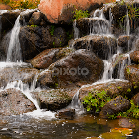 Maui HI by Jeanne Knoch - Nature Up Close Water