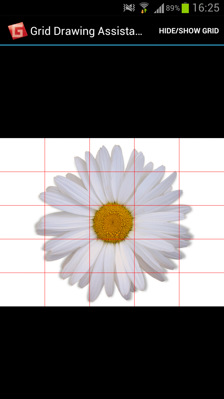 Grid Drawing Assistant Pro Screen 1