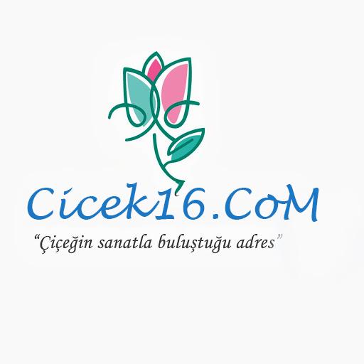 Cicek16.CoM