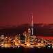 Auckland Now
