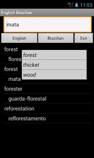 English Brazilian Dictionary