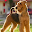 Airedale Terriers Wallpapers Download on Windows