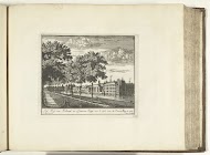 Gezicht op het Binnenhof te Den Haag, 1726