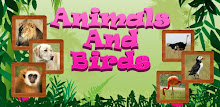 Animals and Birds by Intellisense APK