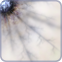 https://lh4.ggpht.com/XpFi-NhNWCDikrwP1rLID5d1_ekAKNcRzLD7R5ftzF_Itp-QNMJi-_mfcsvIKZTk5Q=w124