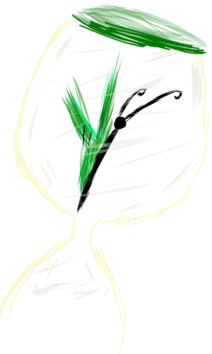 Butterfly in a hourglass
