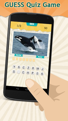 Marine Mammals Quiz Game